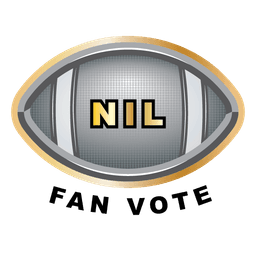 Nil Fan Vote Logo